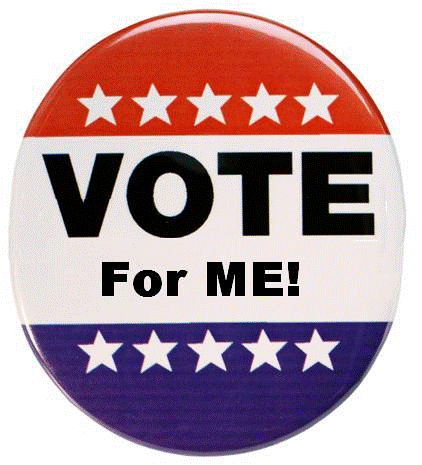 vote for me, make money online blog
