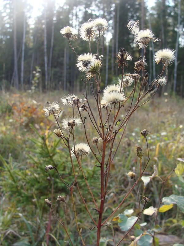 [Pilt: oktoober2010085.jpg]