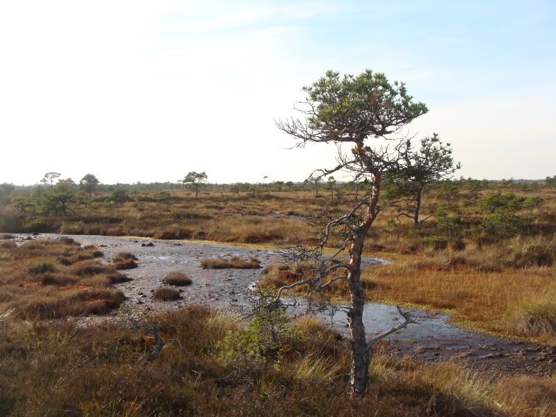 [Pilt: oktoober2010135.jpg]