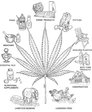 hemp Pictures, Images and Photos