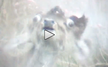 Picture1-9_zps283c973d.png