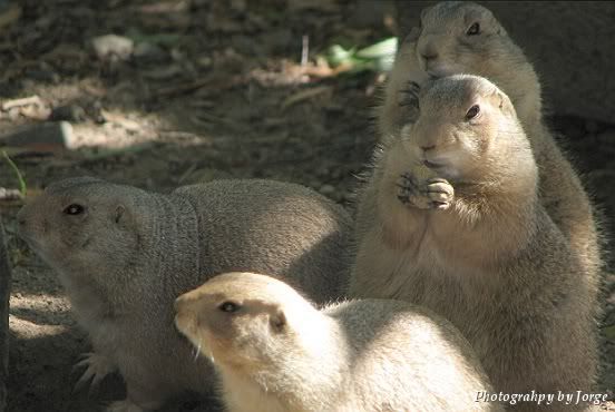 IMAGE: http://i100.photobucket.com/albums/m12/Torkk/0007.jpg