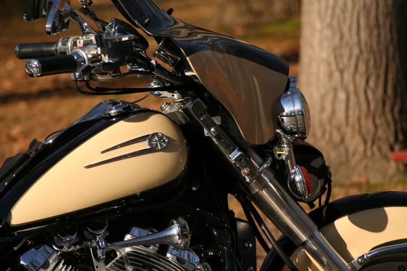 IMAGE: http://i100.photobucket.com/albums/m12/Torkk/Picture433.jpg