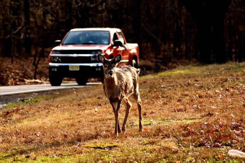 IMAGE: http://i100.photobucket.com/albums/m12/Torkk/Picture475-1.jpg