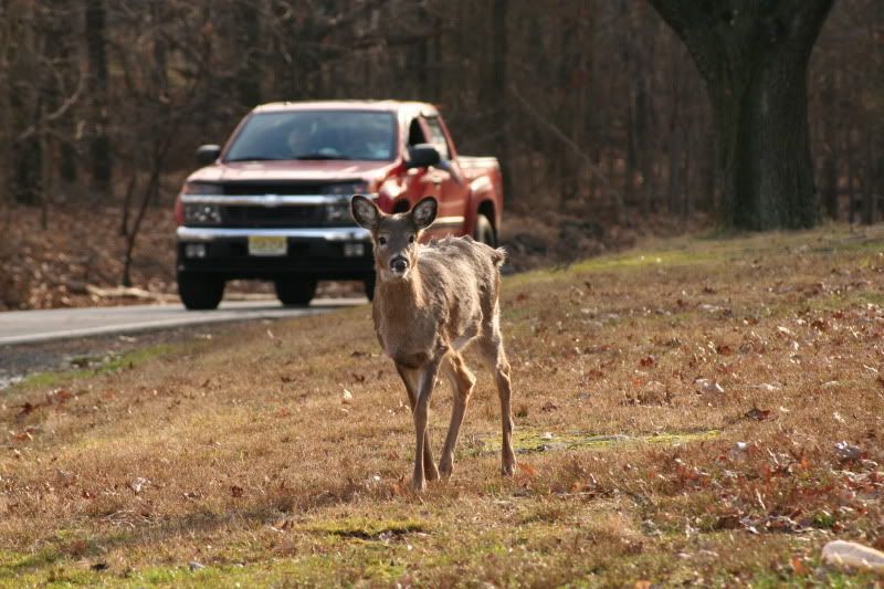 IMAGE: http://i100.photobucket.com/albums/m12/Torkk/Picture475.jpg