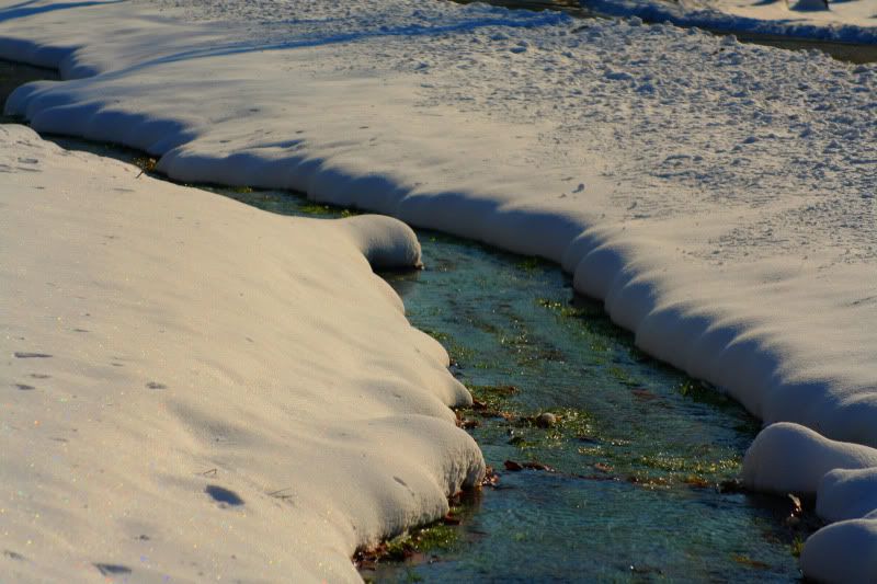 IMAGE: http://i100.photobucket.com/albums/m12/Torkk/Picture559.jpg