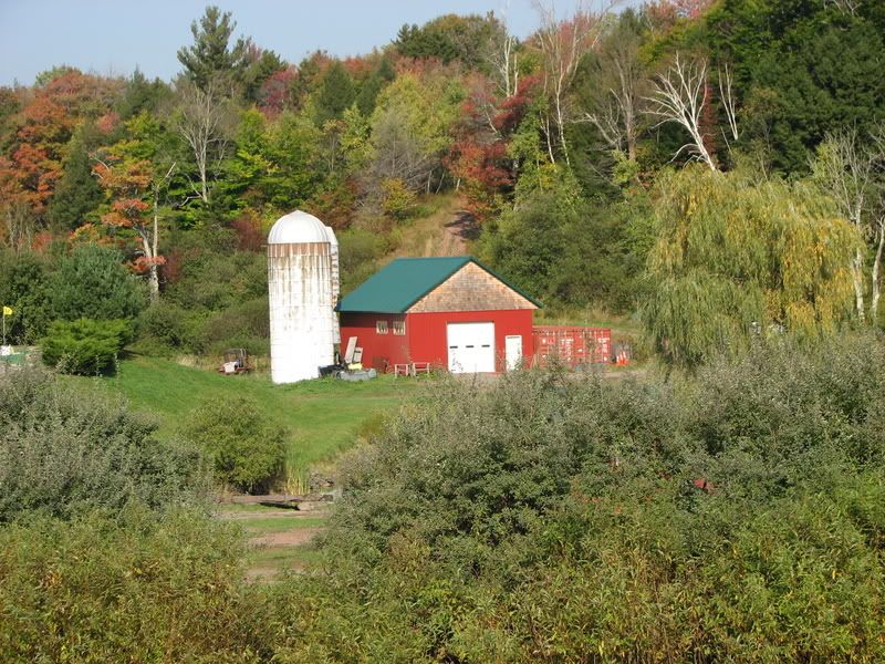 IMAGE: http://i100.photobucket.com/albums/m12/Torkk/TEST/IMG_1583.jpg