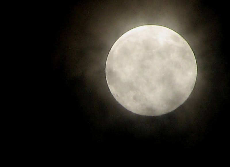 IMAGE: http://i100.photobucket.com/albums/m12/Torkk/moon25.jpg