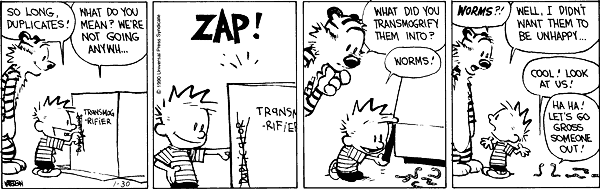 [image loading]