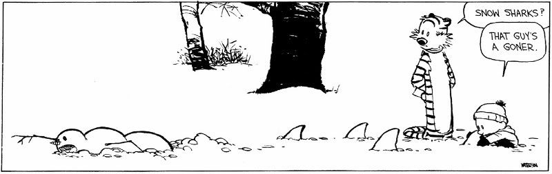[image loading]