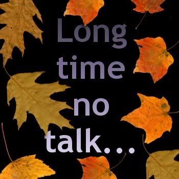 long time no talk
