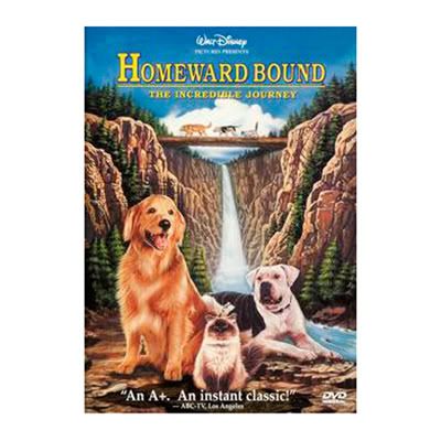 Homeward Bound: The Incredible Journey – Top Selling DVD! | Kids Gifts ...