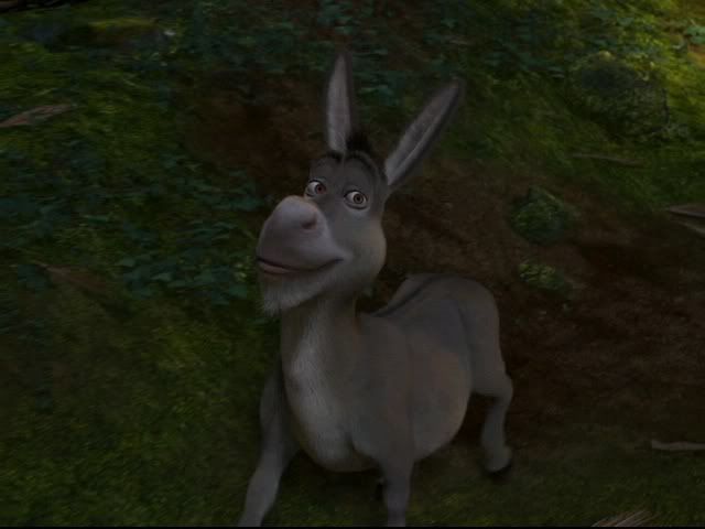 cap100.jpg donky image by regulusablack