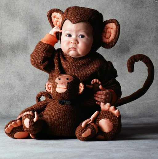 Monkey Costume Pictures, Images and Photos