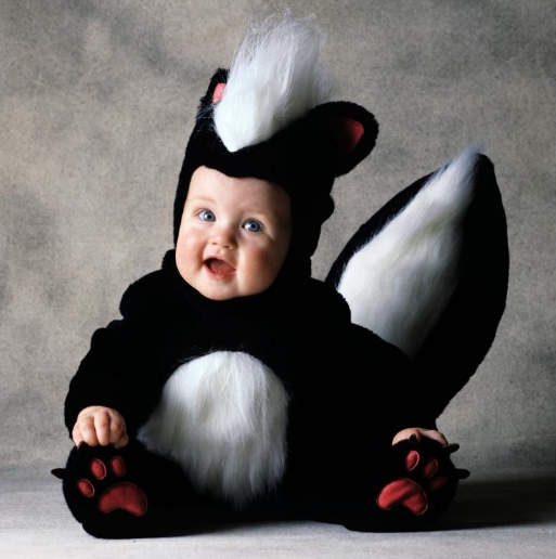 Skunk Costume Pictures, Images and Photos