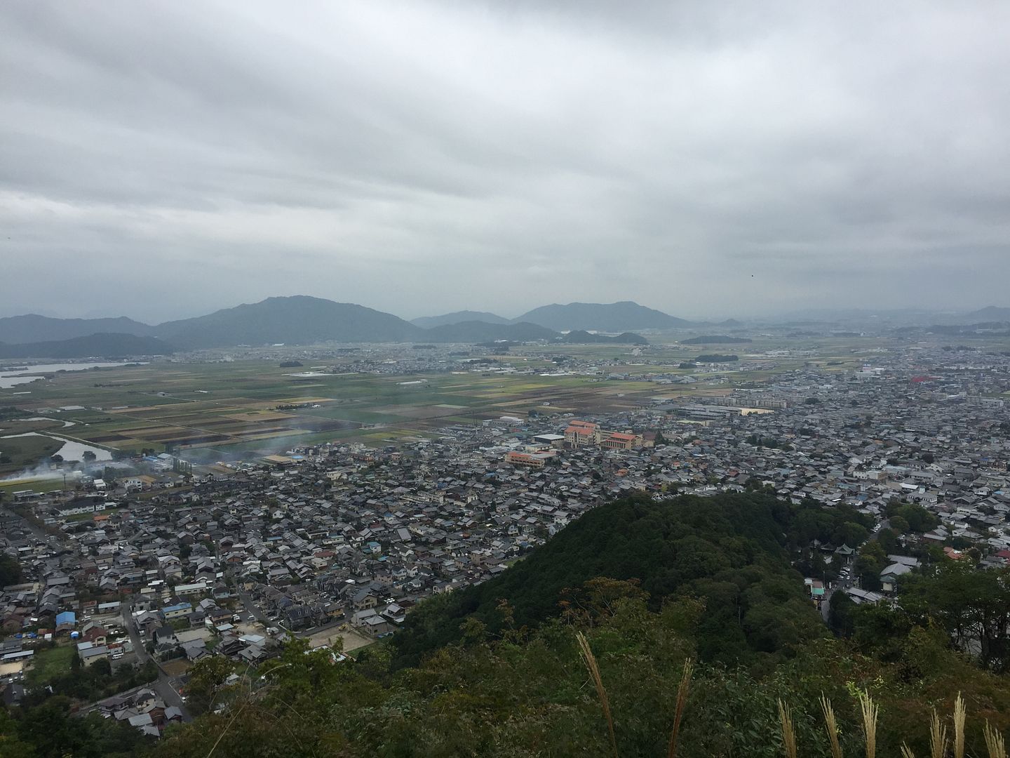 從八幡山頂遠眺