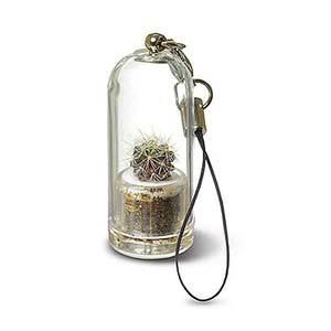 Live Cactus - accessory for your cell phone