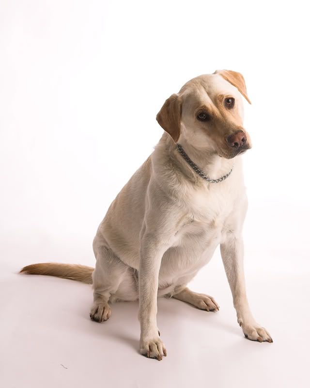 IMAGE: http://i100.photobucket.com/albums/m16/taygull/sandy1.jpg