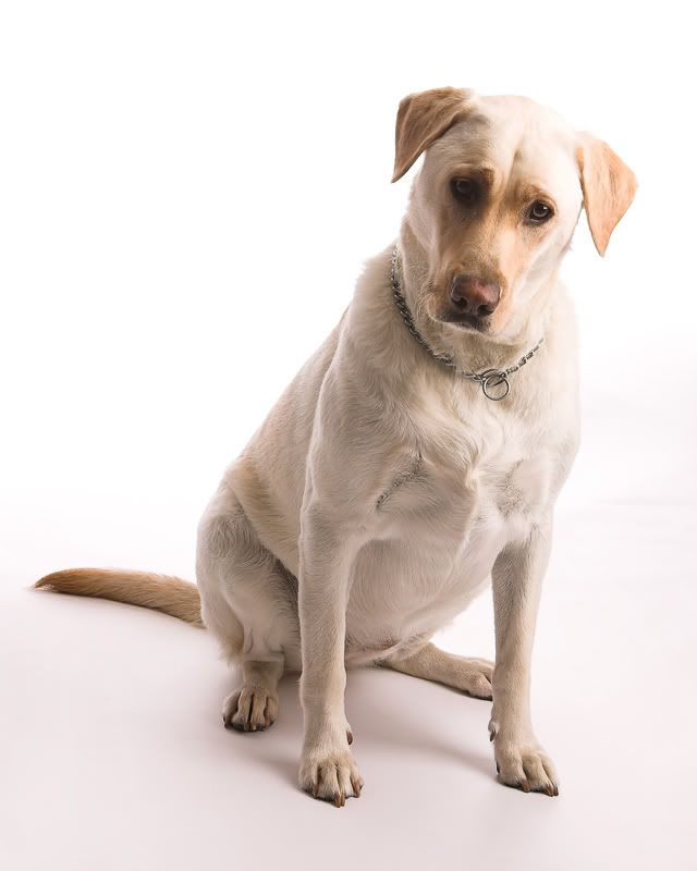 IMAGE: http://i100.photobucket.com/albums/m16/taygull/sandy3.jpg