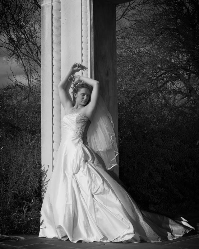 IMAGE: http://i100.photobucket.com/albums/m16/taygull/web-5.jpg