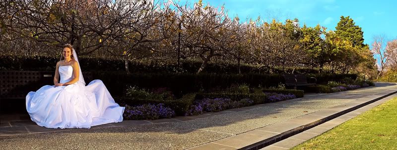 IMAGE: http://i100.photobucket.com/albums/m16/taygull/web-8.jpg