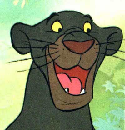 Bagheera Face Pictures, Images and Photos