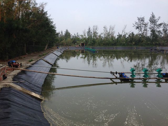 HDPE1.jpg HDPE1.jpg