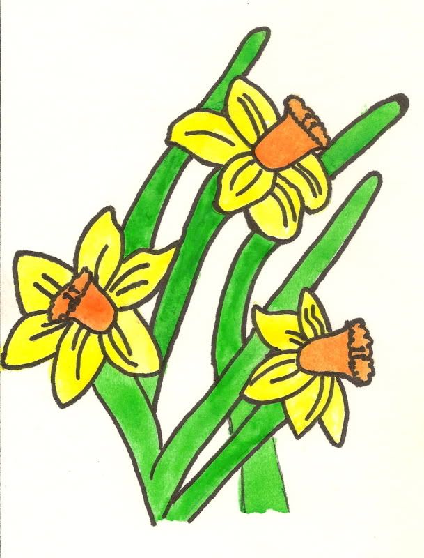  Simple+drawing+of+Daffodils.