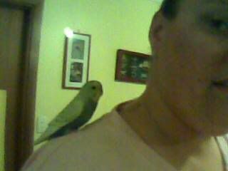 26022008006.jpg