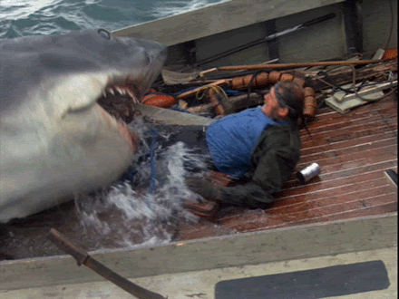 Shark_Bite.gif Shark Bite image by TrustyShellback