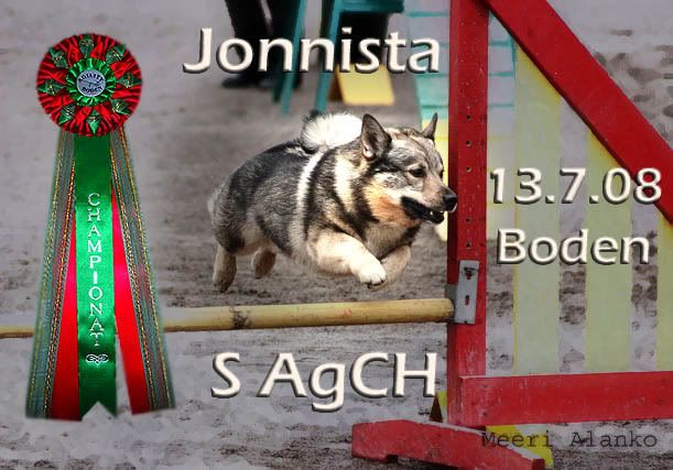 Jone_taideAgi2.jpg picture by jonniponni
