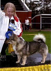 Gllivare 2002  BIR & S UCH