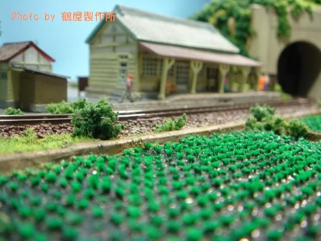圖檔