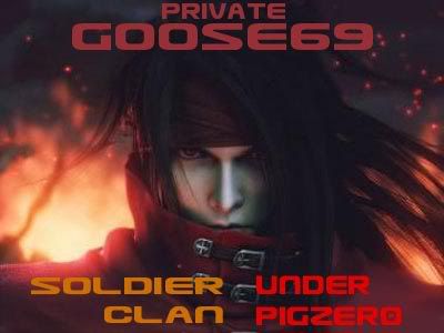 goosesoldier.jpg