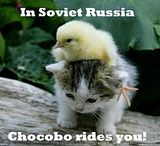 Chocobo.jpg image by Cthulh