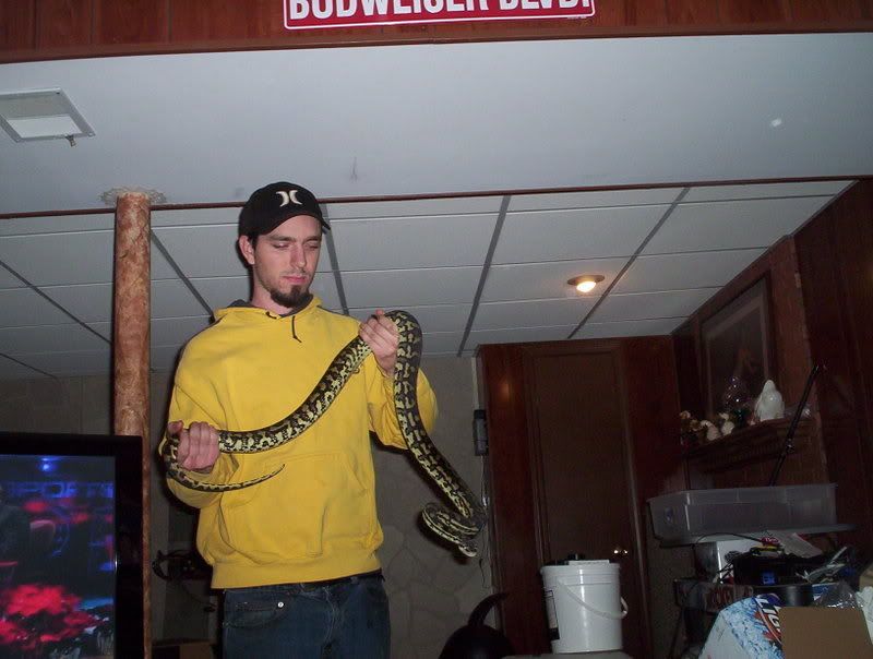 snakesnew015.jpg