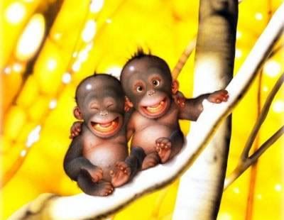 music super cool music life ya hyper case told care monkey Pictures, Images and Photos