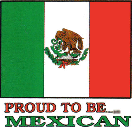 mexico flag. vivia mexico