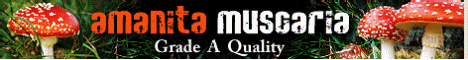Find Quality Amanita Muscaria and More