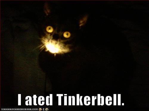 TinkerbellCat.jpg