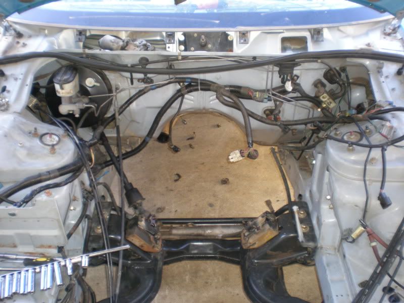 Boosted Falcon • View topic Hiding engine bay wiring