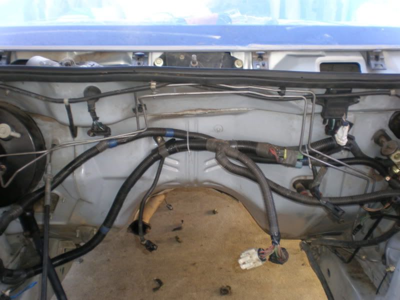 Boosted Falcon • View topic Hiding engine bay wiring