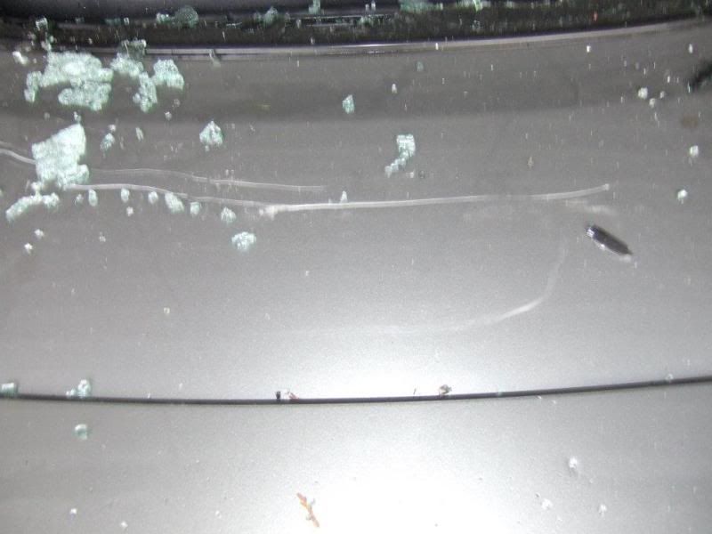 [Image: 350z1.jpg]