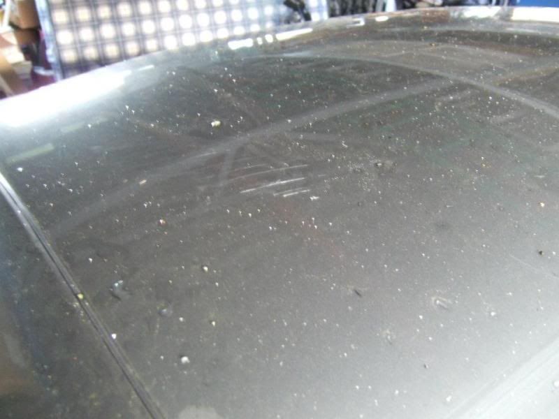[Image: 350z8.jpg]