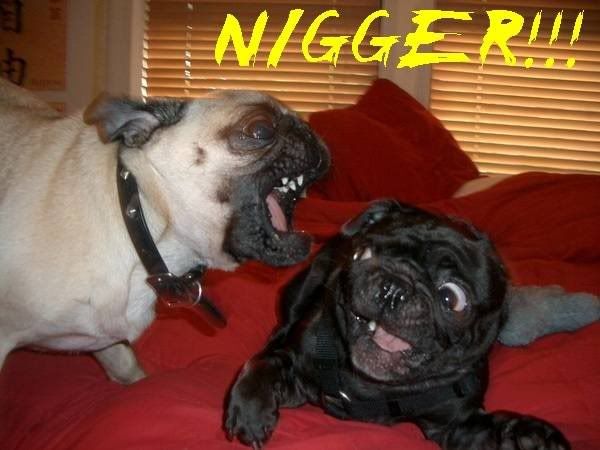 image: nigger