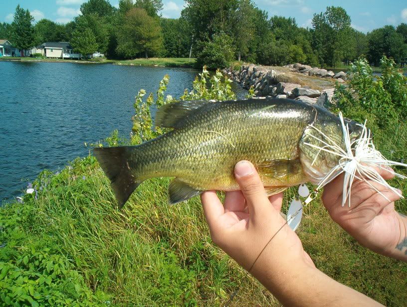 Ouvrir le magasin la pêche la chasse