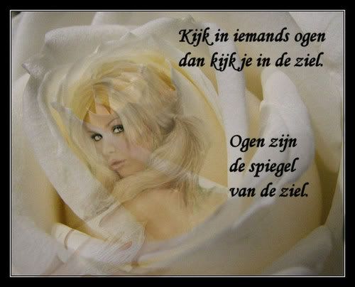 105396570_5_fbJq.jpg picture by riskja