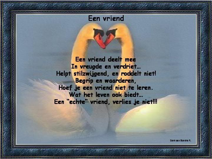 Friendship.jpg Friendship image by riskja