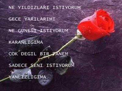 Sevgi Resimleri