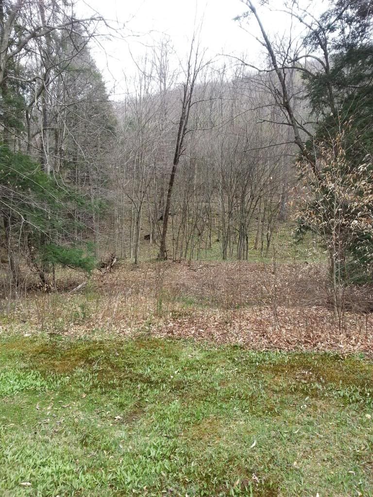 Potter County Camp The Outdoor Community